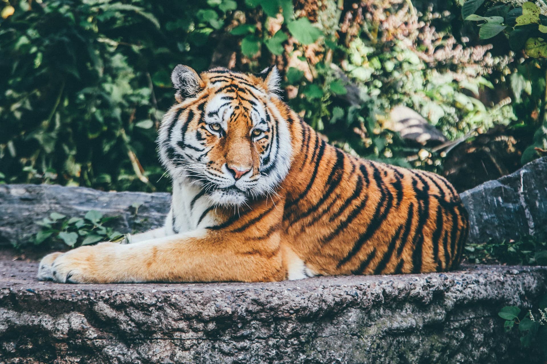Valide suas variáveis de ambiente com Zod